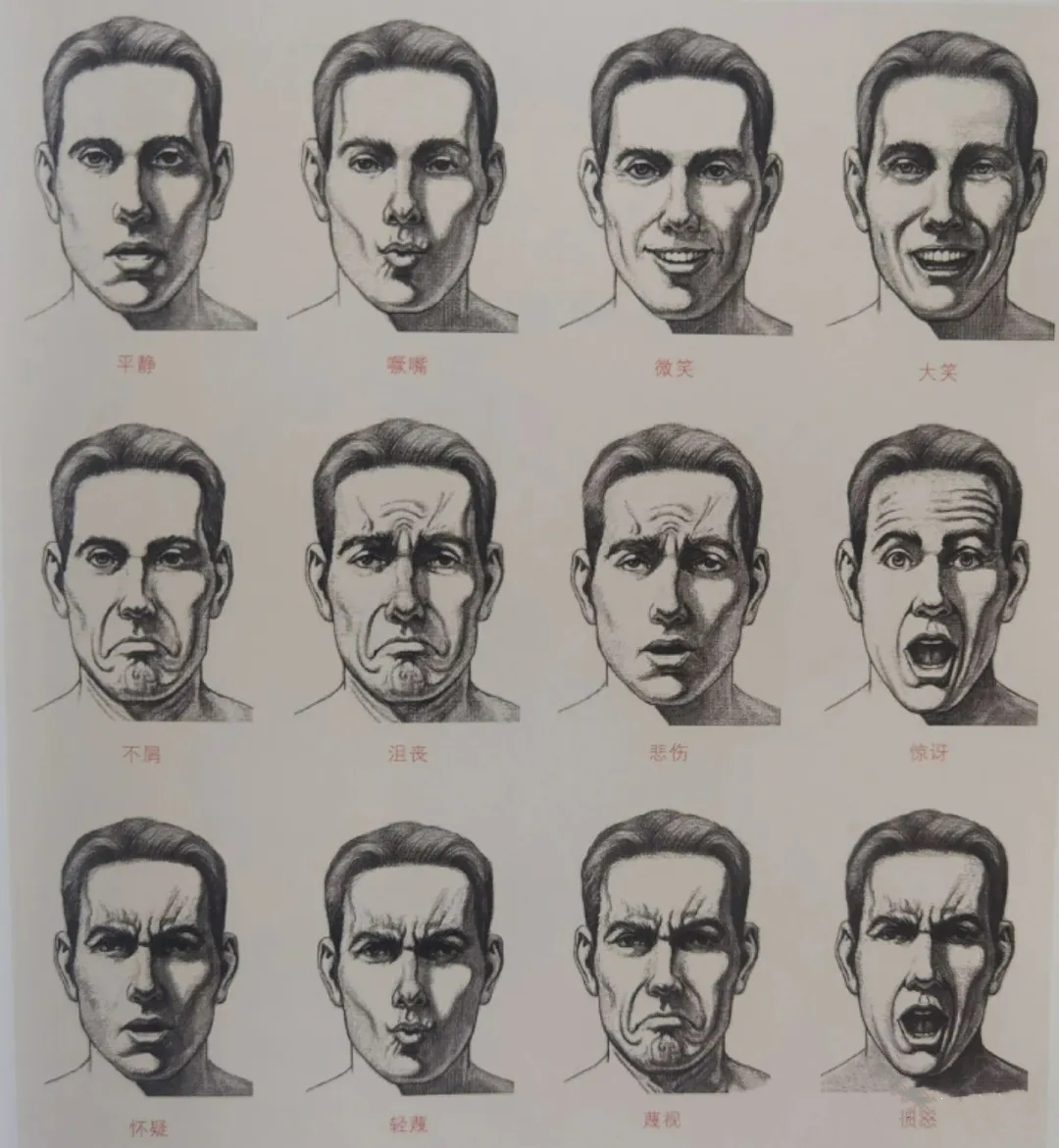 七种基本面部表情图片